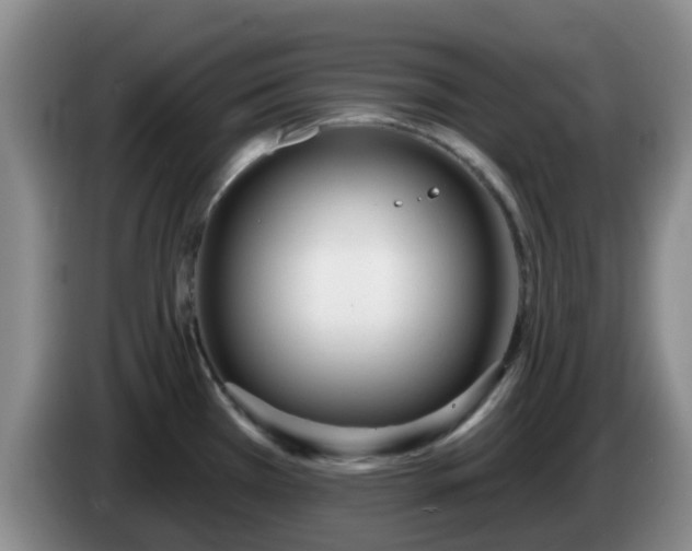 X0000085081385200703121654