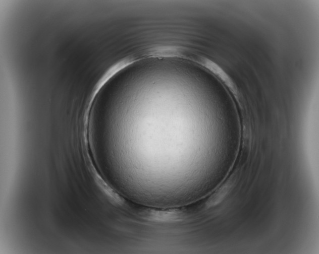 X0000085081386200703121654