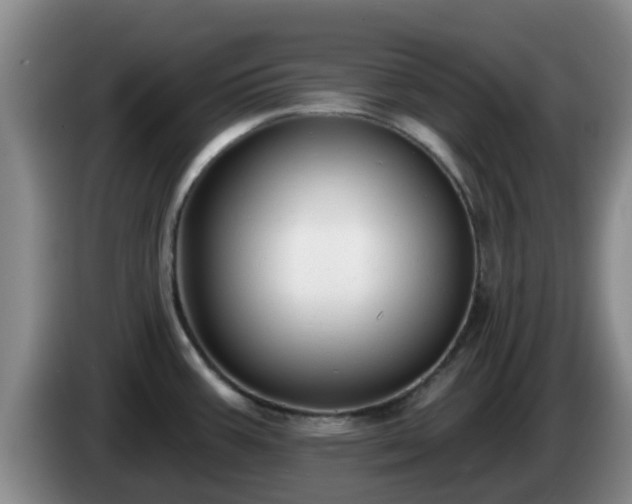 X0000085081387200703121654