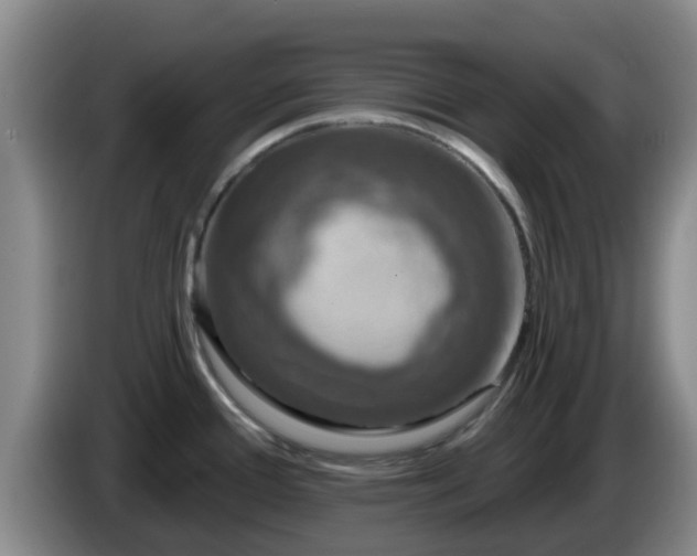 X0000085081388200703121654