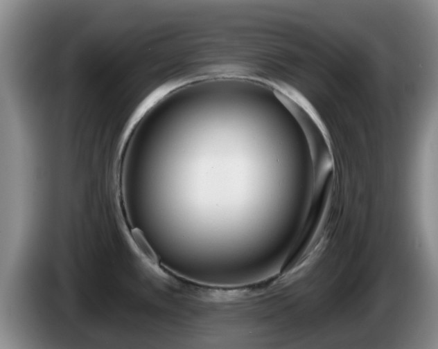 X0000085081389200703121654