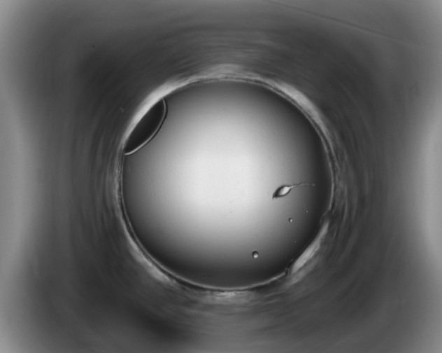 X0000085081390200703121654