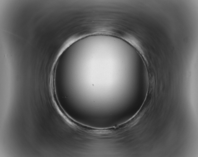 X0000085081391200703121654