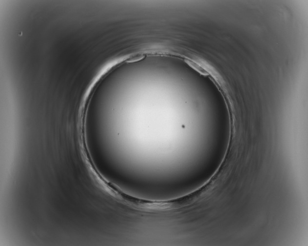 X0000085081392200703121654