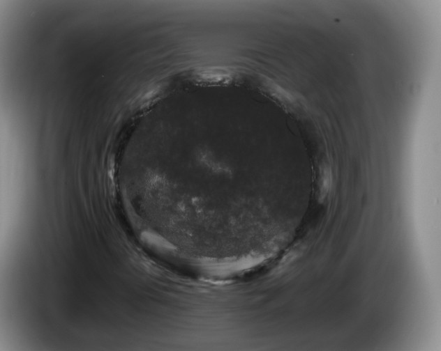 X0000085081394200703121653