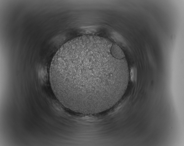 X0000085081395200703121653