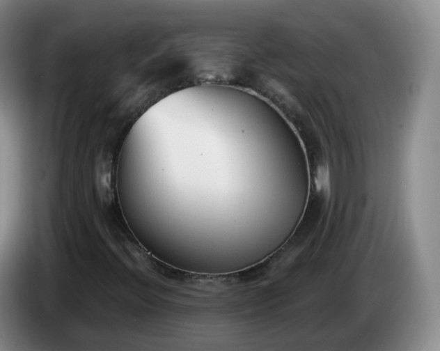 X0000085081396200703121653