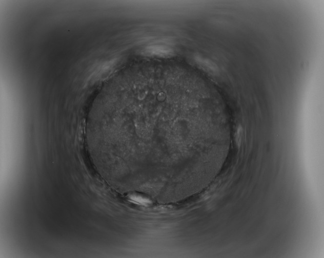 X0000085081397200703121653