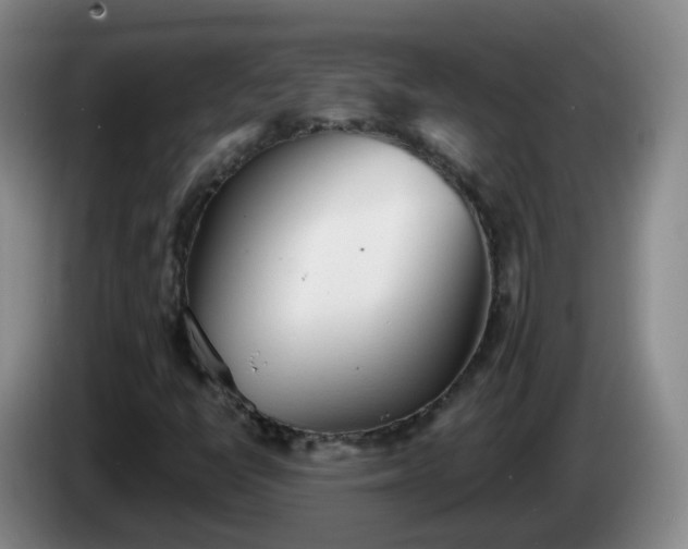 X0000085081398200703121653