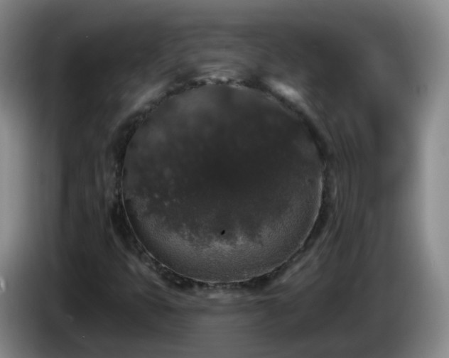 X0000085081399200703121653