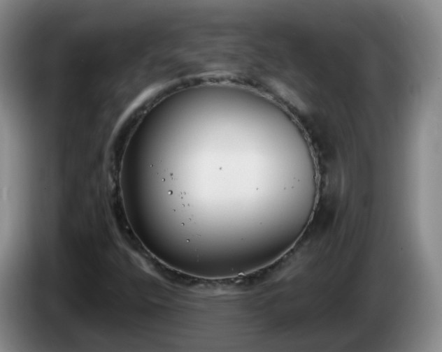 X0000085081400200703121653