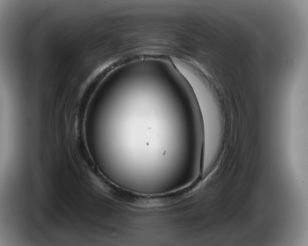 X0000085081402200703121653