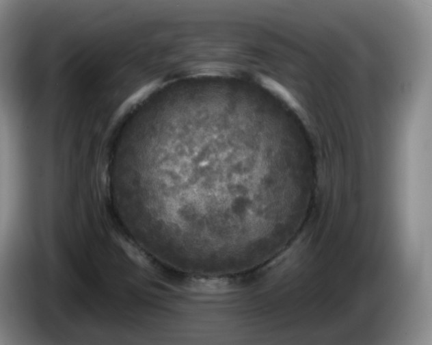 X0000085081403200703121653