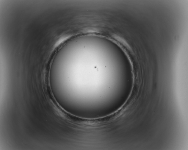 X0000085081404200703121653