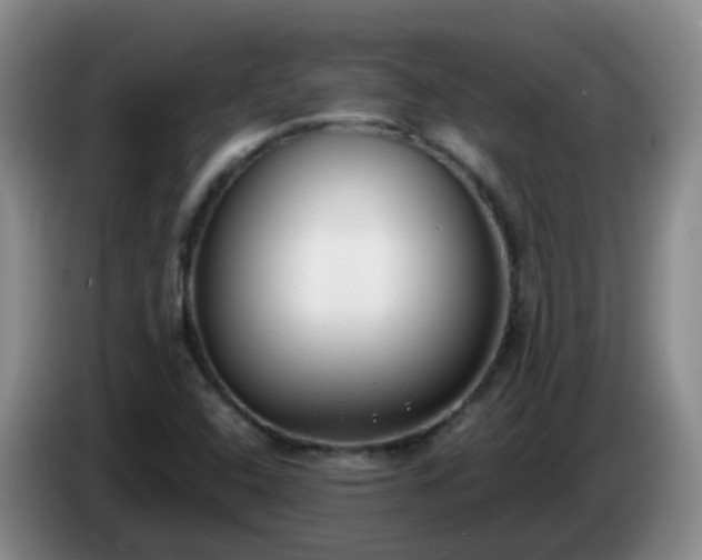 X0000085081408200703121653