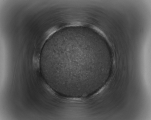 X0000085081409200703121653