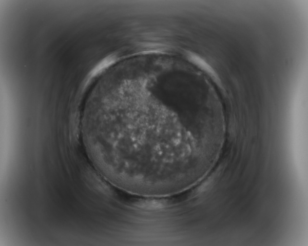 X0000085081411200703121653