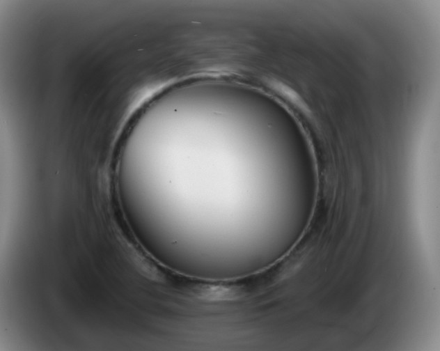 X0000085081412200703121653