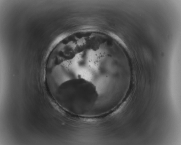 X0000085081413200703121653