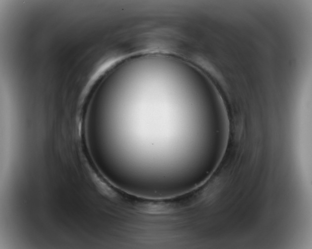 X0000085081416200703121653