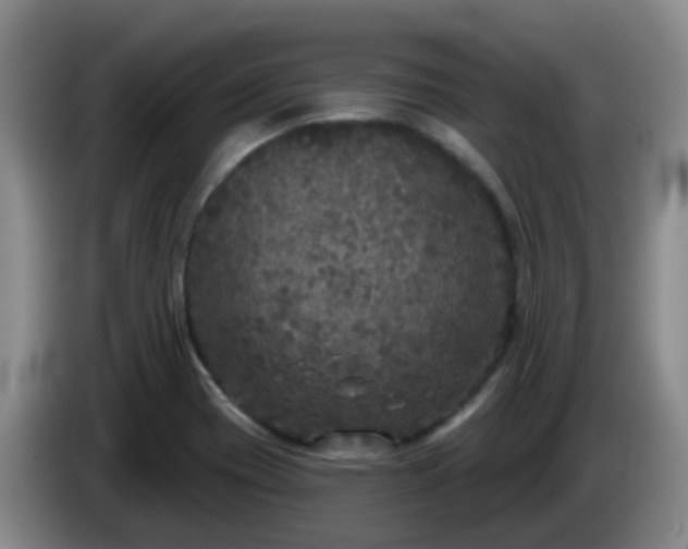 X0000085081417200703121653