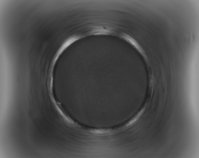 X0000085081418200703121653