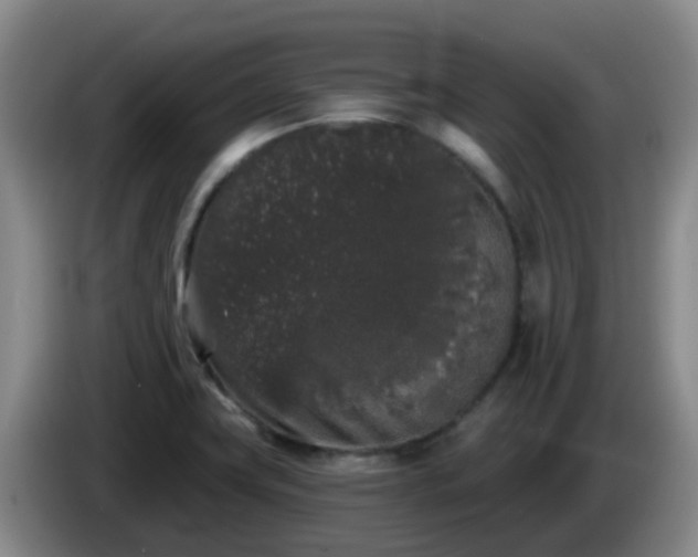 X0000085081419200703121653