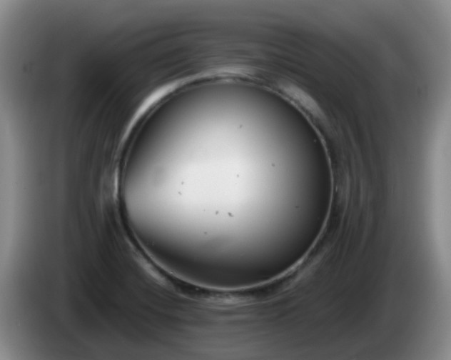 X0000085081420200703121653