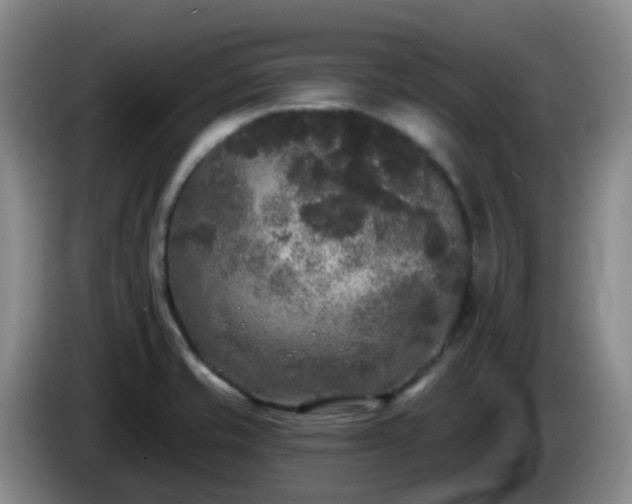 X0000085081421200703121653