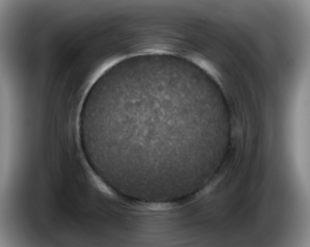 X0000085081423200703121653