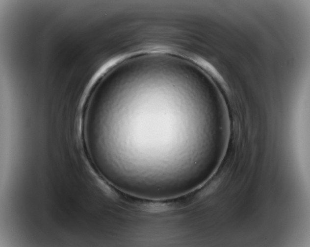 X0000085081424200703121653