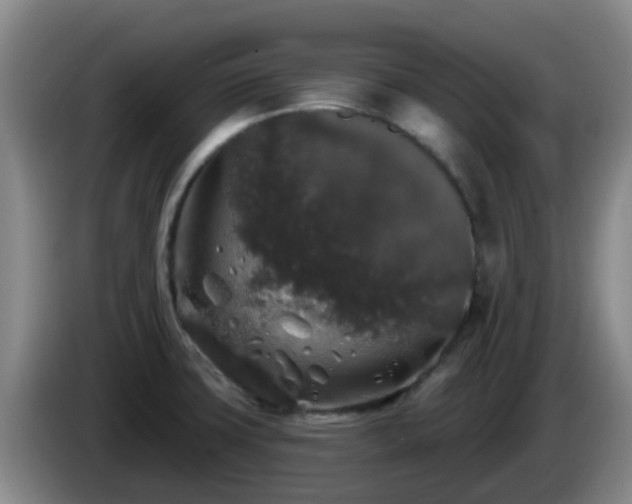 X0000085081427200703121653