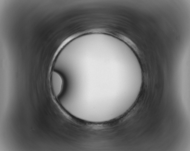 X0000085081428200703121653