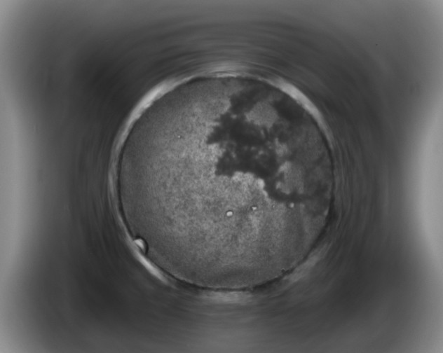 X0000085081429200703121653