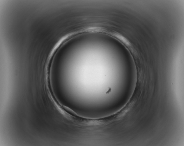 X0000085081430200703121653