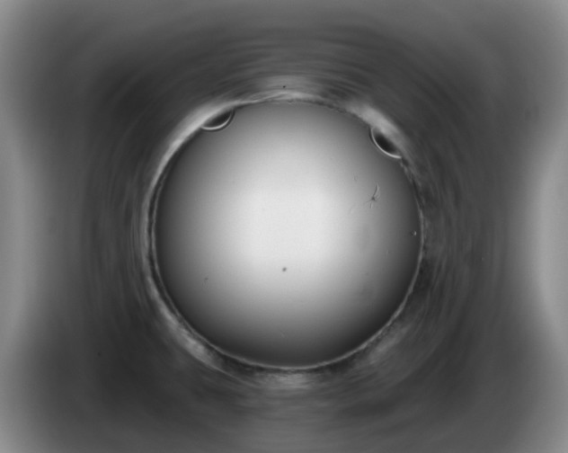 X0000085081431200703121653