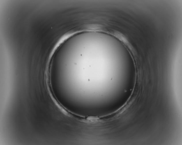 X0000085081432200703121653