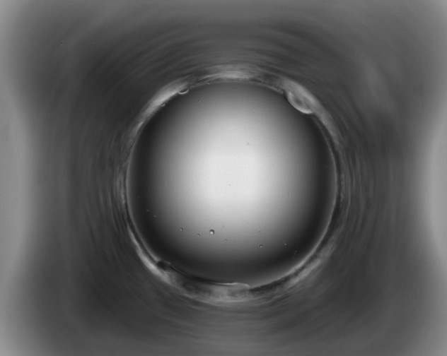 X0000085081433200703121653