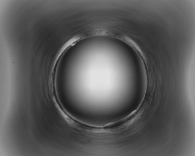 X0000085081434200703121653