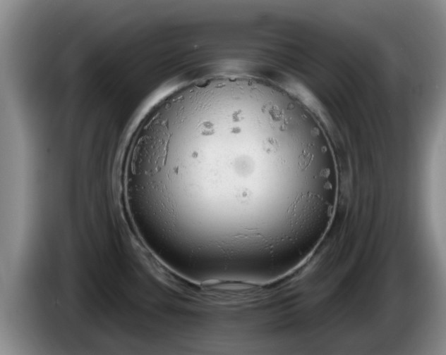 X0000085081435200703121654