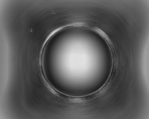 X0000085081436200703121654