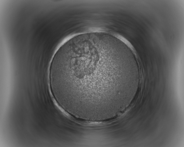 X0000085081439200703121654