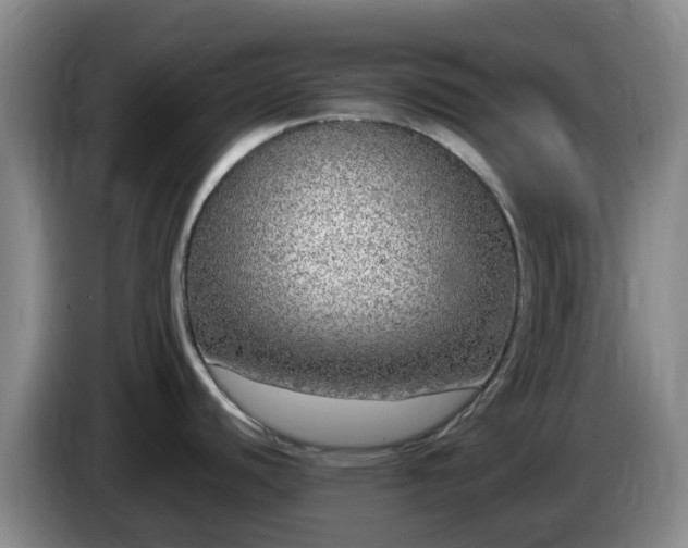 X0000085081440200703121654