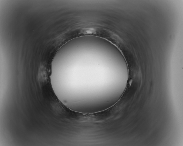 X0000085081442200703121653