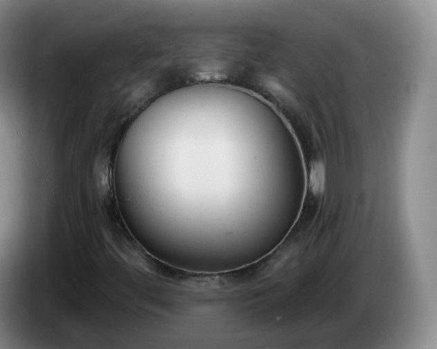 X0000085081444200703121653