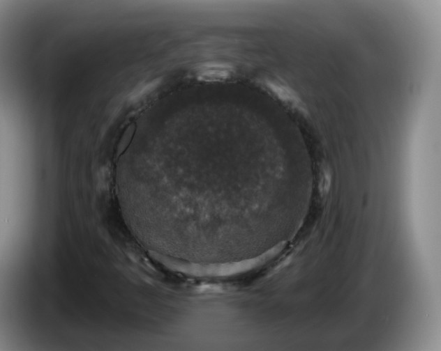 X0000085081445200703121653