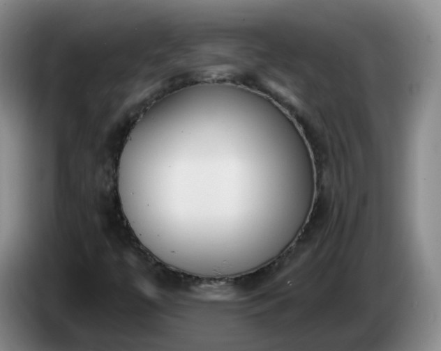 X0000085081447200703121653