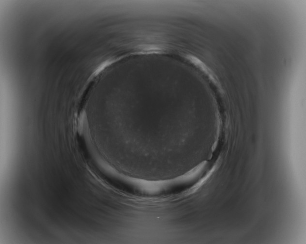 X0000085081449200703121653