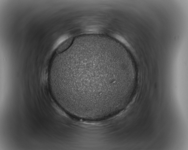 X0000085081450200703121653