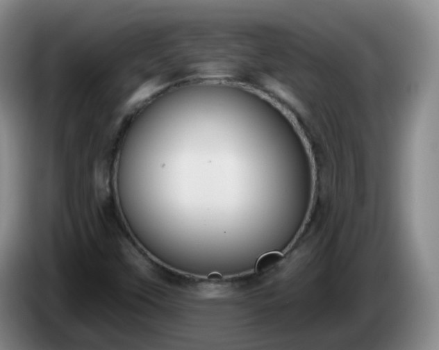 X0000085081451200703121653